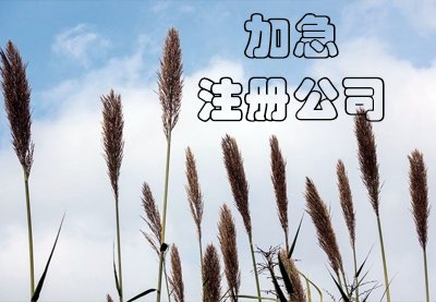 上海公司注冊流程是怎樣的？